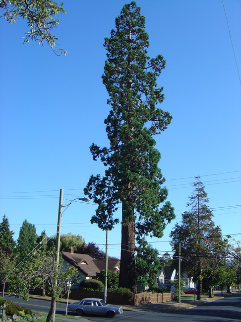 DSC01467